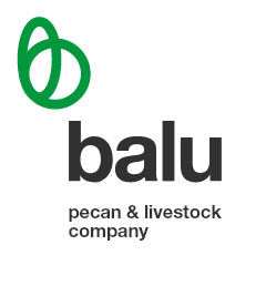 Balu Pecans Logo Balu Pecans Logo
