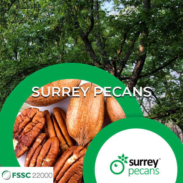Surrey Pecans Title header Surrey Pecans Title header